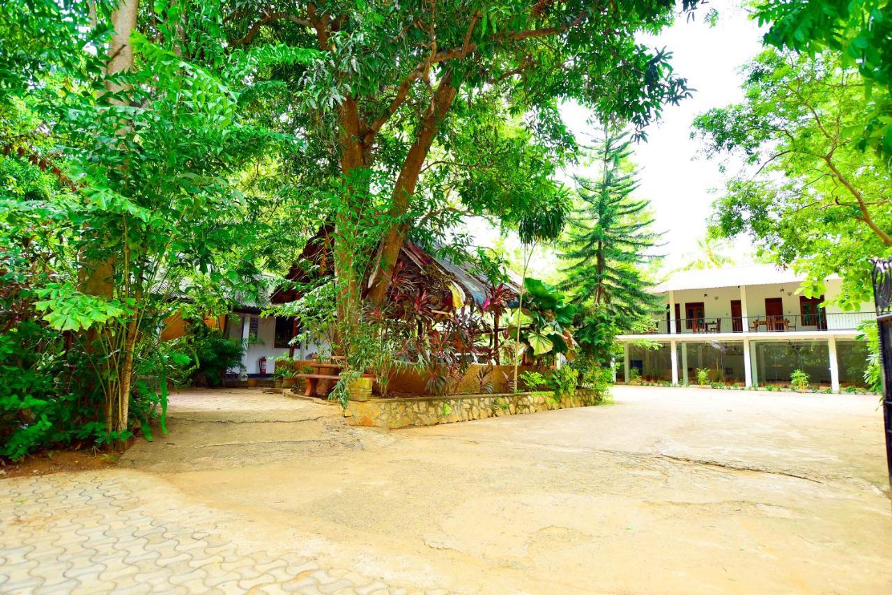 Ariya Rest & Ayurveda Spa Полоннарува Экстерьер фото